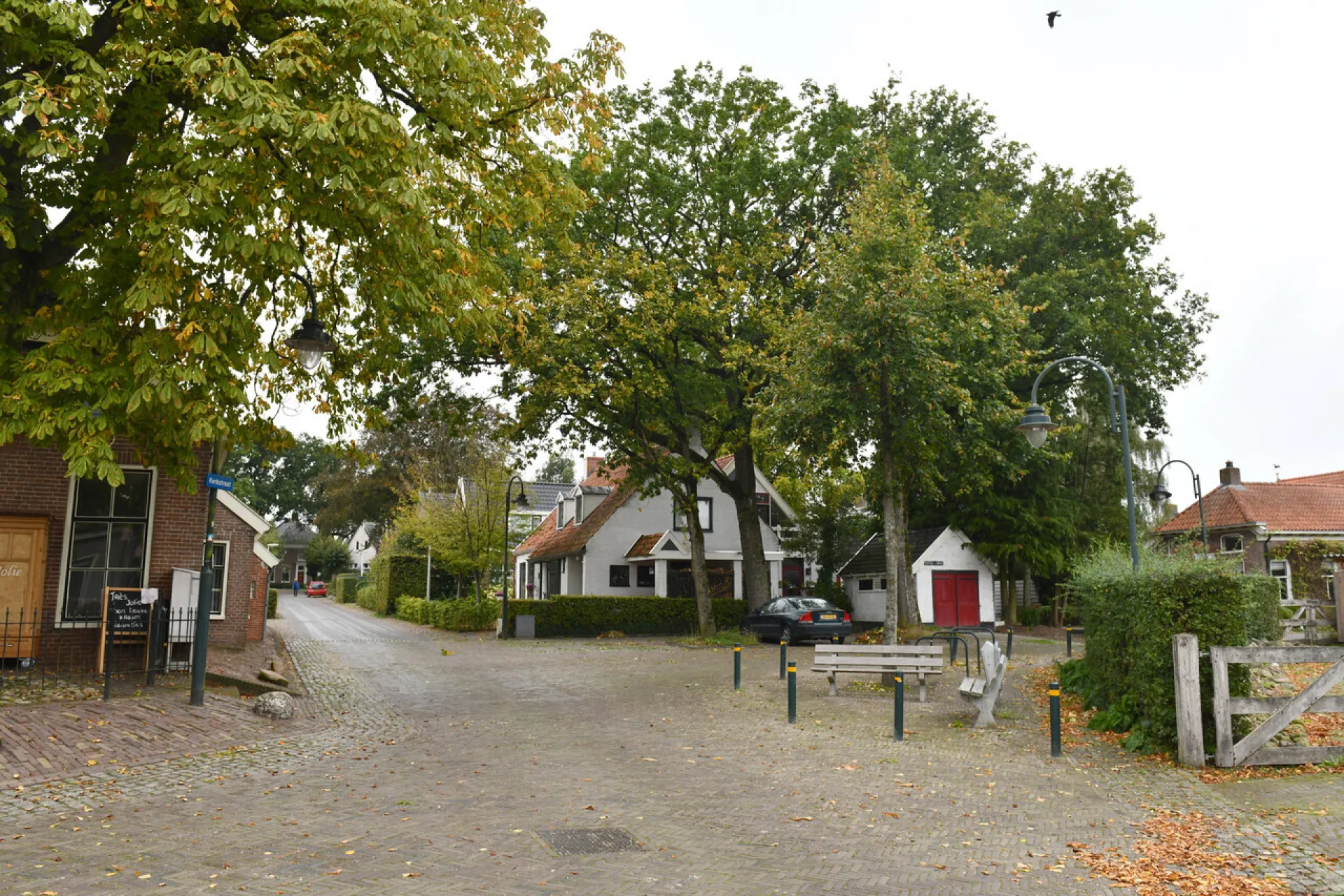 Een landelijke straat met traditionele gebouwen en bomen in de herfst.